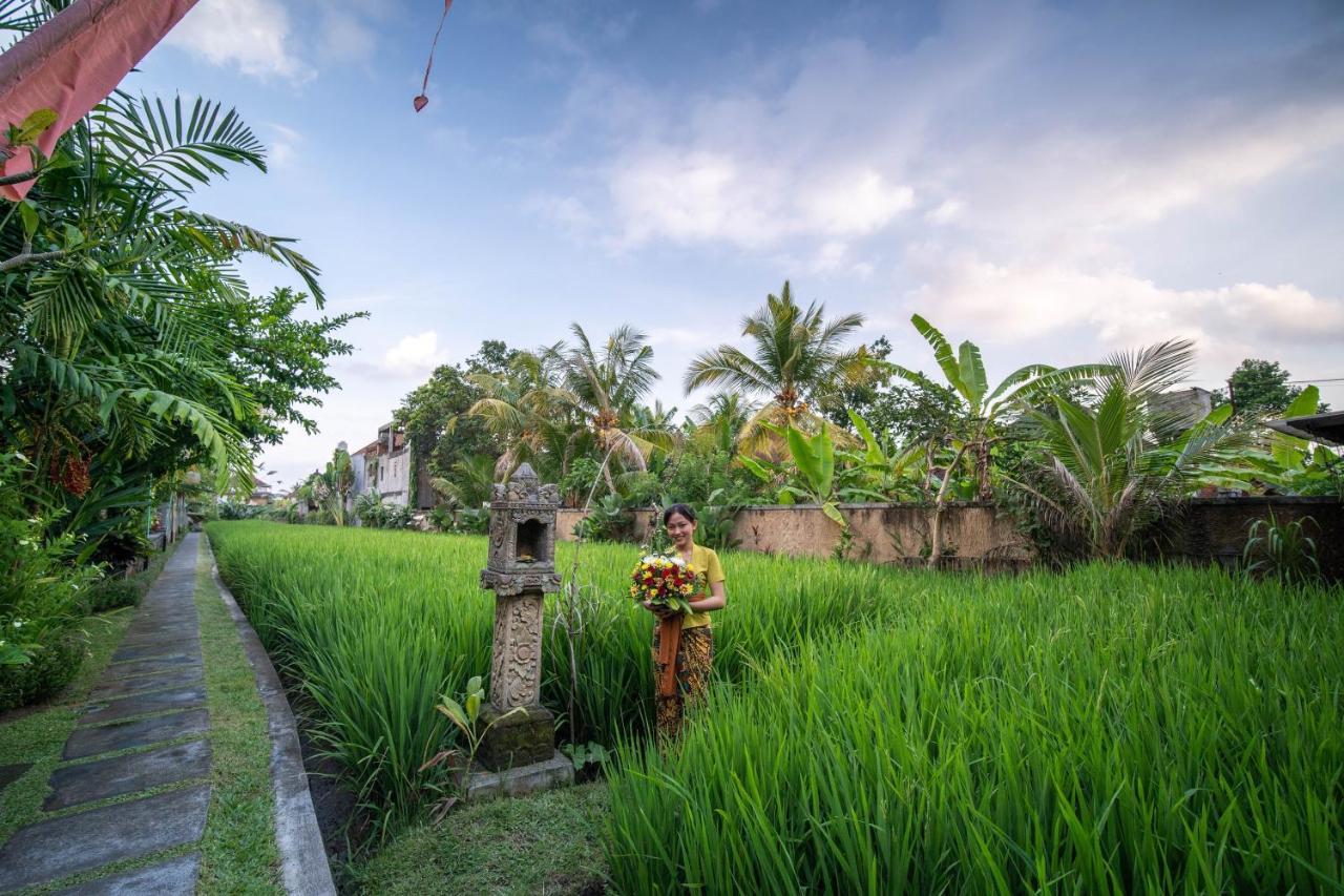 Nini Villa Ubud
