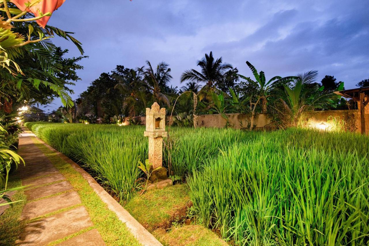 Nini Villa